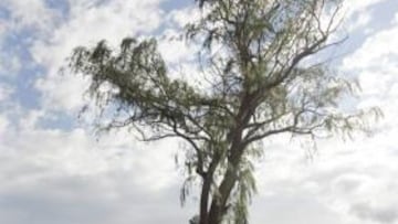 <b>BARRO. </b>Dani Sordo se ha visto perjudicado por las roderas.