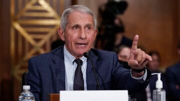 Dr. Anthony Fauci, director of the National Institute of Allergy and Infectious Diseases, responds to questions by Senator Rand Paul.