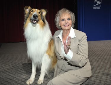 June Lockhart fue una emblemática actriz estadounidense nacida el 25 de junio de 1925 en Nueva York, hija de los también actores Gene y Kathleen Lockhart. Su carrera artística comenzó a temprana edad, debutando en el cine en 1938 con 'Un cuento de Navidad', junto a sus padres.
La actriz se hizo conocida mundialmente por sus papeles en las series de televisión 'Lassie'(1958-1964) y 'Perdidos en el Espacio' (1965-1968).
A lo largo de más de ocho décadas de carrera, Lockhart se mantuvo activa en cine, televisión y teatro, retirándose en 2014. Fue galardonada con una estrella en el Paseo de la Fama de Hollywood.
June Lockhart falleció el 23 de octubre de 2025 en su hogar de Santa Mónica, California, por causas naturales, rodeada de su familia. Tenía 100 años, dejando tras de sí un legado imborrable en la historia de la televisión estadounidense.
