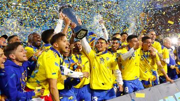 Boca se consagró como campeón del fútbol argentino tras el empate a dos frente a Independiente.