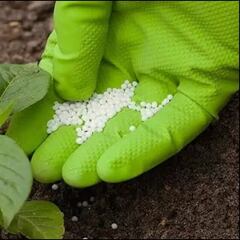 Distribución de Urea para fertilizantes: cuándo será y cómo solicitar