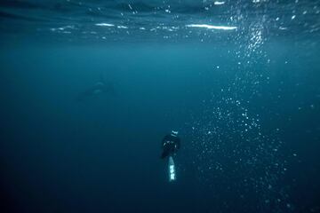 El cinco veces campeón mundial de apnea, el francés Arthur Guerin-Boeri, nada junto a una orca en el Océano Glaciar Ártico.