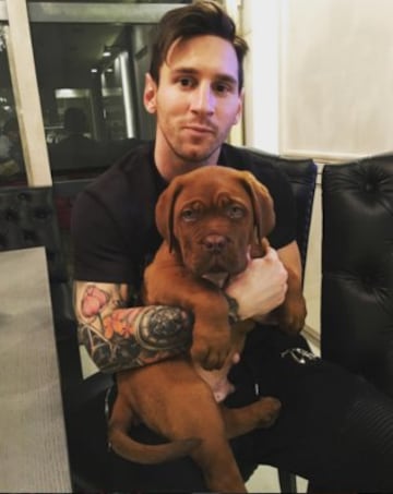 Leo Messi presentó a su perro Hulk hace unos meses en Instagram.