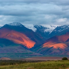 Descubierto el origen de la peor pandemia que ha sufrido la humanidad