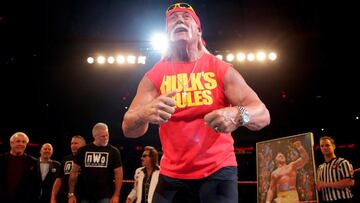 WWE | Hulk Hogan: "Quiero ser el vicepresidente bajo Trump!"