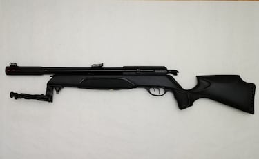 Nueva Arrow de Gamo: sin baile de miras.