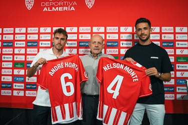 Málaga CF: las razones de una caída inesperada