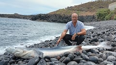 Pedro Pascual, doctor en Biología Marina: “Es muy poco probable que los tiburones ataquen en España”