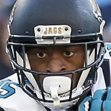 Touchdown de Allen Robinson. Este tipo me asusta. Os tengo que poner más fotos suyas para que veáis que esa mirada sin alma la tiene en todas las fotos.