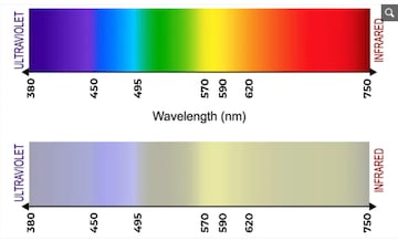 Diferencia a la hora de percibir los colores. La gama de colores de arriba son los colores que ven las personas; la de abajo, la de los perros. 