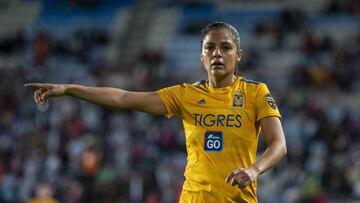 Cristina Ferral, Tigres