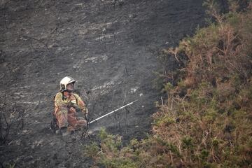 Bomberos de Asturias trabajan para extinguir las llamas en un incendio forestal en Toraño, Asturias (España). El Gobierno regional activó el pasado jueves por la noche  el Plan de Incendios Forestales del Principado de Asturias (INFOPA).