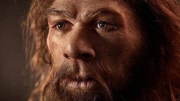 Neandertal