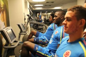 Colombia juega el 8 de septiembre ante Perú en el Red Bull Arena de New Jersey