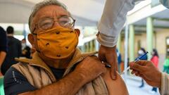 Arriban a México más de 500 mil vacunas envasadas de Pfizer