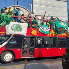 Muere un médico y aficionado de Palmeiras tras caer de un autobús antes de la final de Copa Libertadores