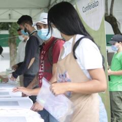 Subsidio al Empleo Joven: cuándo me hacen el pago y qué monto me corresponde