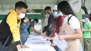 Subsidio al Empleo Joven: cuándo me hacen el pago y qué monto me corresponde