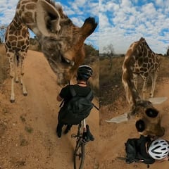 Cosas que pasan en Sudáfrica: un ciclista, intimidado por una jirafa