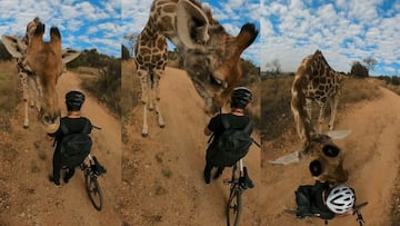 Una jirafa olisqueando el casco del piloto de MTB y fot&oacute;grafo Tommy Moser en Sud&aacute;frica, en mayo del 2021. 