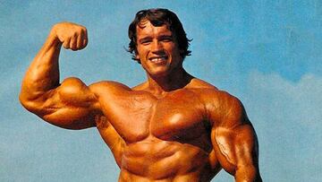 arnold schwarzenegger culturista culturismo bodybuilder bodybuilding