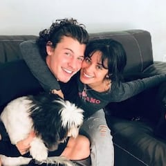 El motivo de la ruptura de Camila Cabello y Shawn Mendes