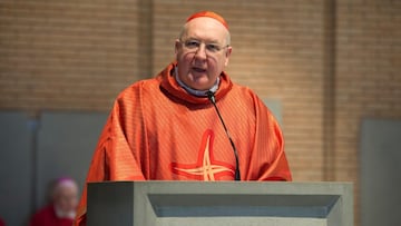 Kevin Farrel / @vaticannews_es