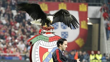 El Benfica recupera a su águila tras 24 horas desaparecida