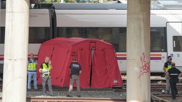 La policía y la UME junto a los dos trenes donde se ha localizado el cádaver, cerca de la estación de Santa Justa. A 16 de octubre de 2023, en Sevilla (Andalucía, España). La Policía Nacional ha confirmado la aparición de un cadáver, pendiente de identificación, entre dos vagones en la zona en la que se busca al joven cordobés Álvaro Prieto, desaparecido desde el pasado 12 de octubre cuando no logró coger el tren en la estación de Santa Justa con destino a Córdoba capital después de pasar el día anterior en Sevilla con unos amigos.
16 OCTUBRE 2023
María José López / Europa Press
16/10/2023