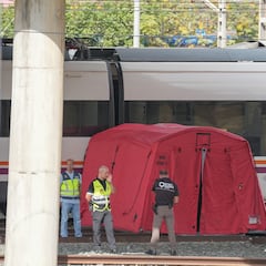 Una cámara de seguridad grabó a Álvaro Prieto subido al techo del tren