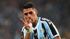 AMDEP201. PORTOALEGRE (BRASIL), 17/01/2023.- El uruguayo Luis Suárez de Gremio celebra un gol hoy, en la final de la Recopa Gaúcha entre Gremio y Sao Luiz el estadio Arena do Gremio en Portoalegre (Brasil). Suárez debuta con Gremio con el que firmó un contrato de dos años después de estar una temporada con el Nacional de Uruguay. EFE/ Ricardo Rimoli
