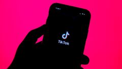 Francia prohíbe el uso de TikTok en los móviles gubernamentales
