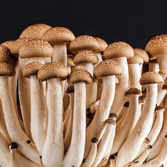 Are shrooms legal? What to know about psilocybin mushrooms and the states where they are illegal