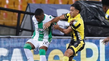 Atlético Nacional vs. Alianza Petrolera en el Atanasio Girardot por la fecha 19 de la Liga BetPlay.