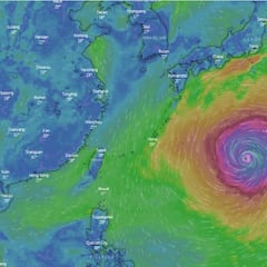El Tifón Hagibis podría eliminar a Escocia del Mundial de Rugby