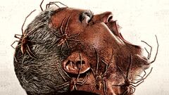 Primer tráiler de ‘Vermin’, la película de terror con arañas reales que quiere ser la nueva ‘Aracnofobia’
