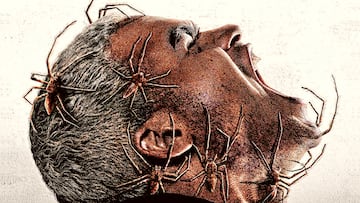 Primer tráiler de ‘Vermin’, la película de terror con arañas reales que quiere ser la nueva ‘Aracnofobia’