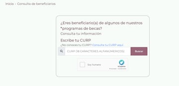 ¿No recibiste tu pago de la Beca Benito Juárez?: descubre cómo consultar el estatus online