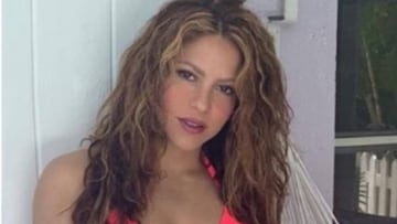 Shakira y Piqué, criticados por fotos con animales marinos.