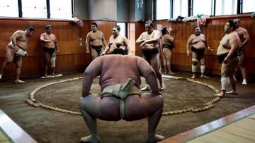 Sumo