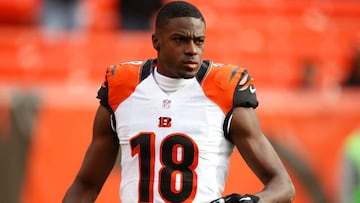 El mejor WR de Andy Dalton desde 2011, año en el que ambos llegaron a Cincinnati, estará alejado de los emparrillados y Zac Taylor tiene una dura prueba.