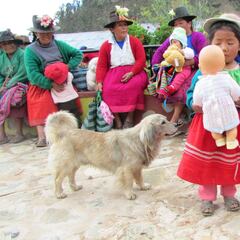 Bono 350 soles: ¿se puede cobrar el subsidio si soy beneficiario del Bono 700 soles?