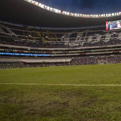 Pasto híbrido del Azteca sólo contó con 40 días para su instalación