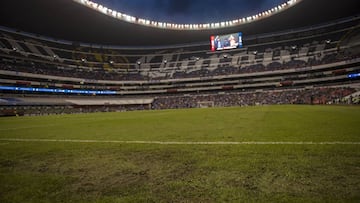 En comparaci&oacute;n con los tiempos de implementaci&oacute;n del c&eacute;sped del Estadio Alejandro Morera Soto de Costa Rica, primera cancha de pasto h&iacute;brido en Am&eacute;rica, la diferencia de trabajos es de 70 d&iacute;as.