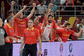 El banquillo español celebrando por todo lo alto la victoria de España. 