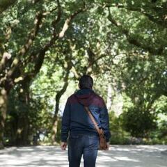 “Para maquillar compraban casas, coches y fincas”