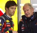 La renovación de Webber a punto