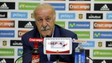 Vicente del Bosque