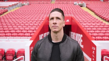 Fernando Torres