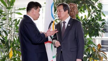 Las dos Coreas proponen equipos unificados en baloncesto, hockey,
judo y remo